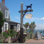 blackDogTavernMarthasVineyard