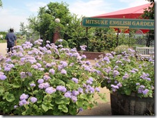 mitsuke-english-garden