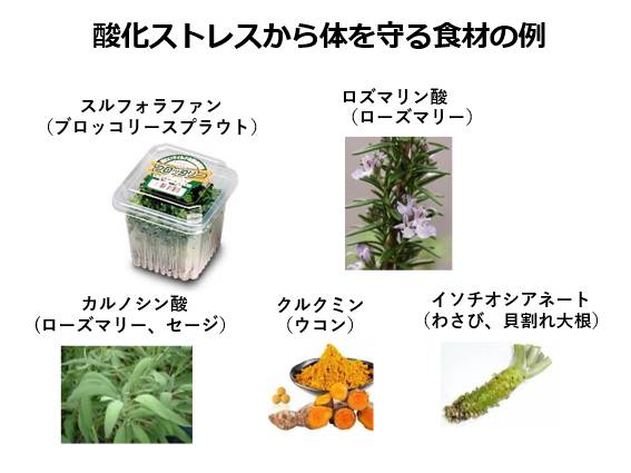 酸化ストレスから体を守る食材